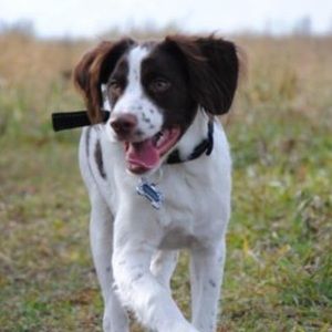 Meet your Posher, Carolyn